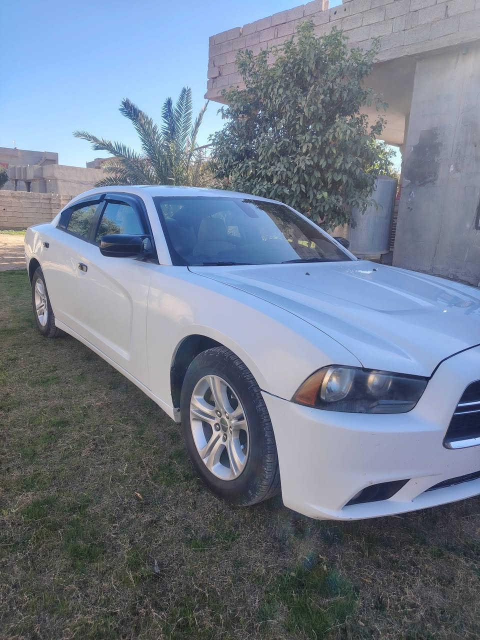 السلام عليكم جارجر موديل 2014كص جنطة متوم طبق الصل شرط الحاسبة سيارة طك كارتون كير ومحرك شرط محرك3600 صدر وتخم تاير طبة كشر وقرقة جديد تبريد تدفئه كلو شغال اربع كشانة كهربائي داخل لونين تحكم ستيرن جهتين شفتان بل الستيرن سيارة فول مواصفات عدة الفتحة مضومت لايت زنون كهربيات كلهة شغالة السعر 62 وبيهة مجال بصيط مكان السيارة العلم قريت الربيضة بيع نقد بدون قصط ولا وعدة ***********)***********
