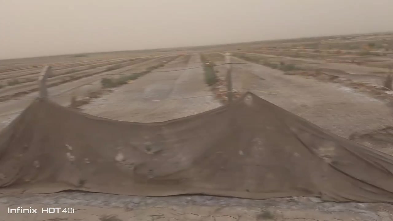 يالله سلام عليكم البيع طريق سكندريه مسيب 11دونم سند 25 تحويل مباشر بسم المشتري تبعد عن طريق البيك ياحسين 800متر لاستفسار على رقم ***********

