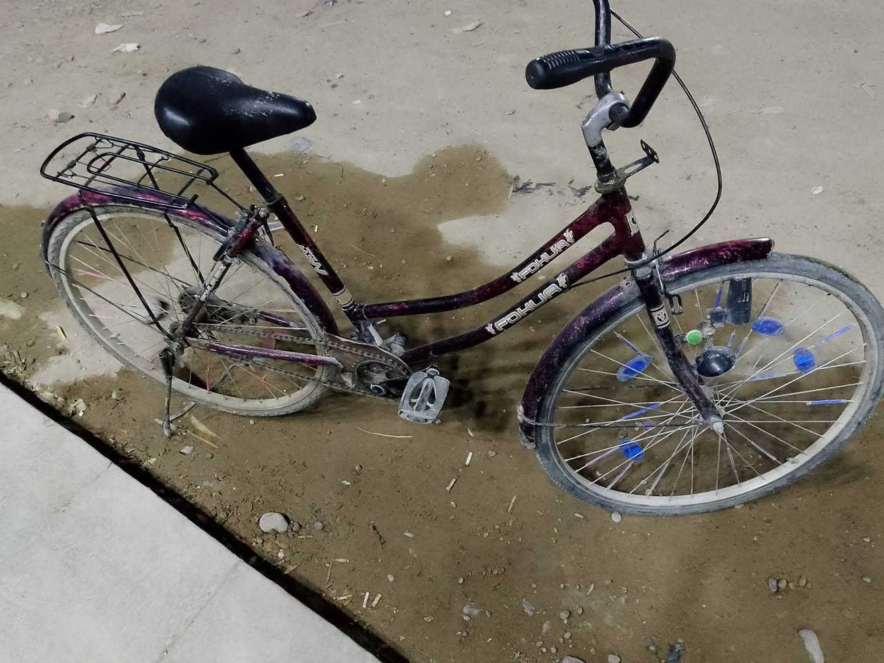 سلام عليكم 
بناتي للبيع كبس 

موشم لونه مميز حجم 26 
بيع مستعجل بيع مستعجل 

مكاني بغداد شهداء العبيدي 
60 بي مجال لشراي ***********
