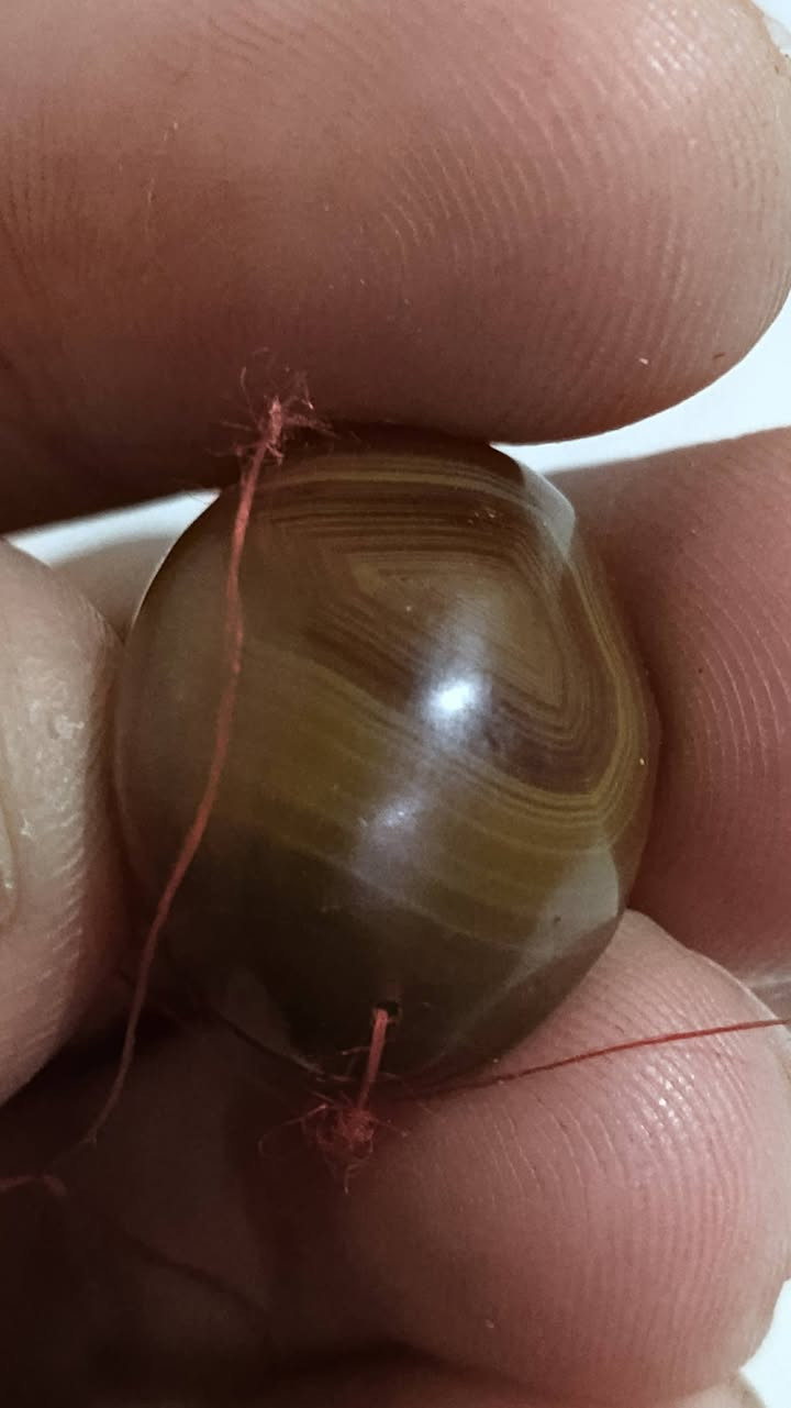 السلام عليكم ورحمه الله 
للبيع صارلهن فترة طويلة عدنا ما نعرف مصدرهن .
ذي قار الشطرة .
للعلم كلهن مزرفات .
اليرغب بشرائهن واتساب 
 ***********
