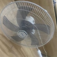 شغال • بلا عطل • أربيل