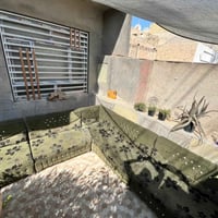ديوان • ديوان عربي • ديوان تكمه • ديوان ٧ متر • قنفات • صوفا • اثاث من...