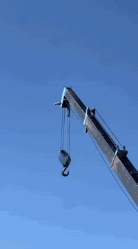 كنتر ٢٠١١ • رقم أربيل • كرين