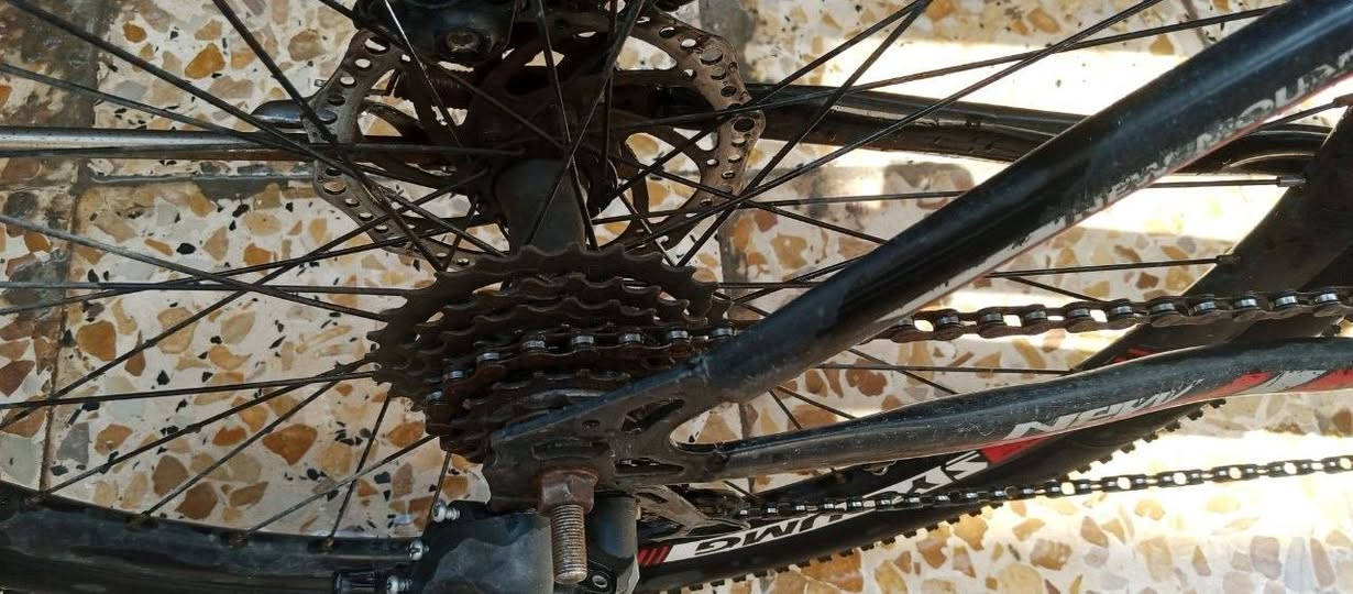 سلام عليكم بايسكل للبيع جبلي موديل 2022 دبلات شغالة تايرات بحالة جيدة بريكات شغالة عنوان بغداد بو الشام قرب القوس السر 60وبي مجال


**إذا كنت صاحب هذا الإعلان وتريد حذفه لأي سبب، رجاءا أرسل رسالة إلى الدعم الفني**
