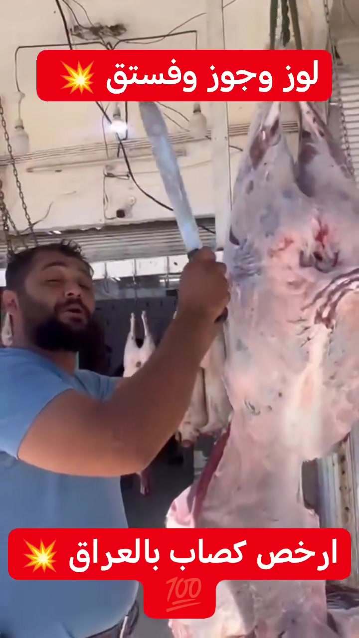ارخص كصاب بالعراق وارقى لحم بالعراق وشرط كلو عراقي *********** 💯💥
