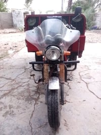 ستوته • فحل • موديل 19