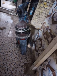 ماكس منغولي • محرك ناعم • دايرات جديد