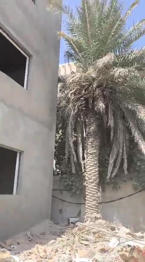 السلام عليكم ورحمه الله وبركاته كادر 4خلفات  جص بورك متر 6الاف  +تشميع دواخل اسمنت  تحب تشوف شغلي أو اشتغل الك نموذج ***********
