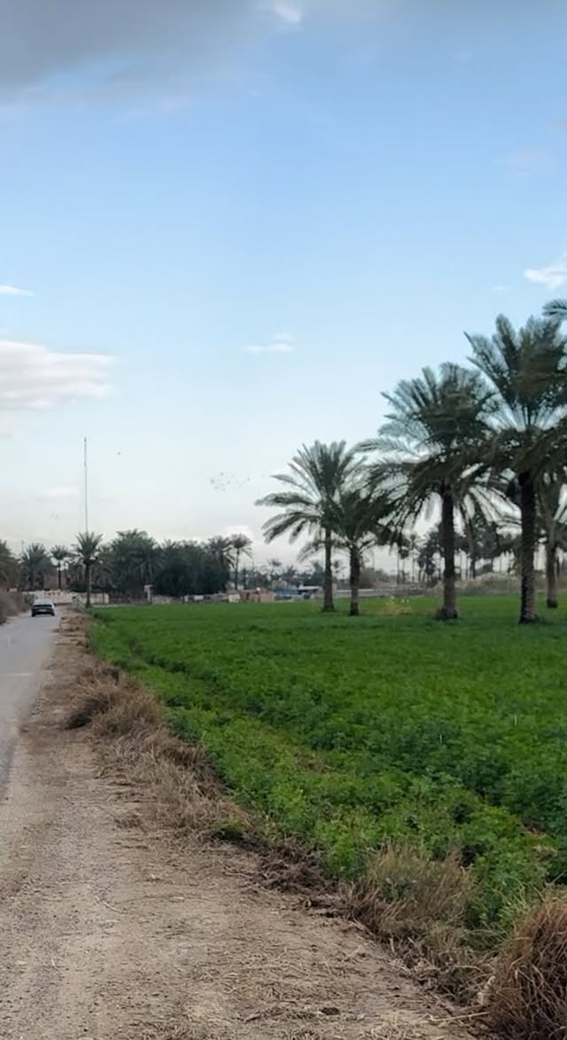 السلام عليكم دونمين للبيع 
المدائن منطقه الجعاره ثاني قطعه من شارع العام 
تبعد 100 متر من شارع العام واجهه الدونم 50 نزال 50 
صنف الارض طابو ملك صرف 
للاستفسار اكثر الاتصال ***********
