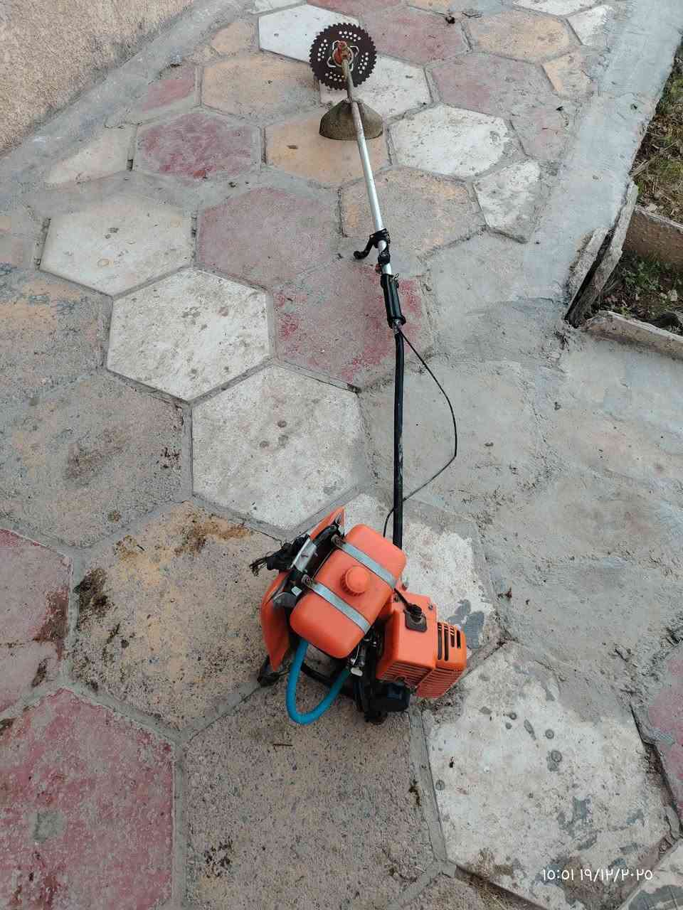 للبيع حاشوشه للبيع
واسط صويره ***********
