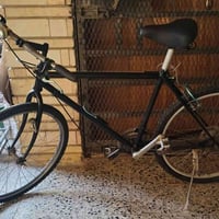 بايسكل ياباني • مصبوغ • محمودية حي العسكري