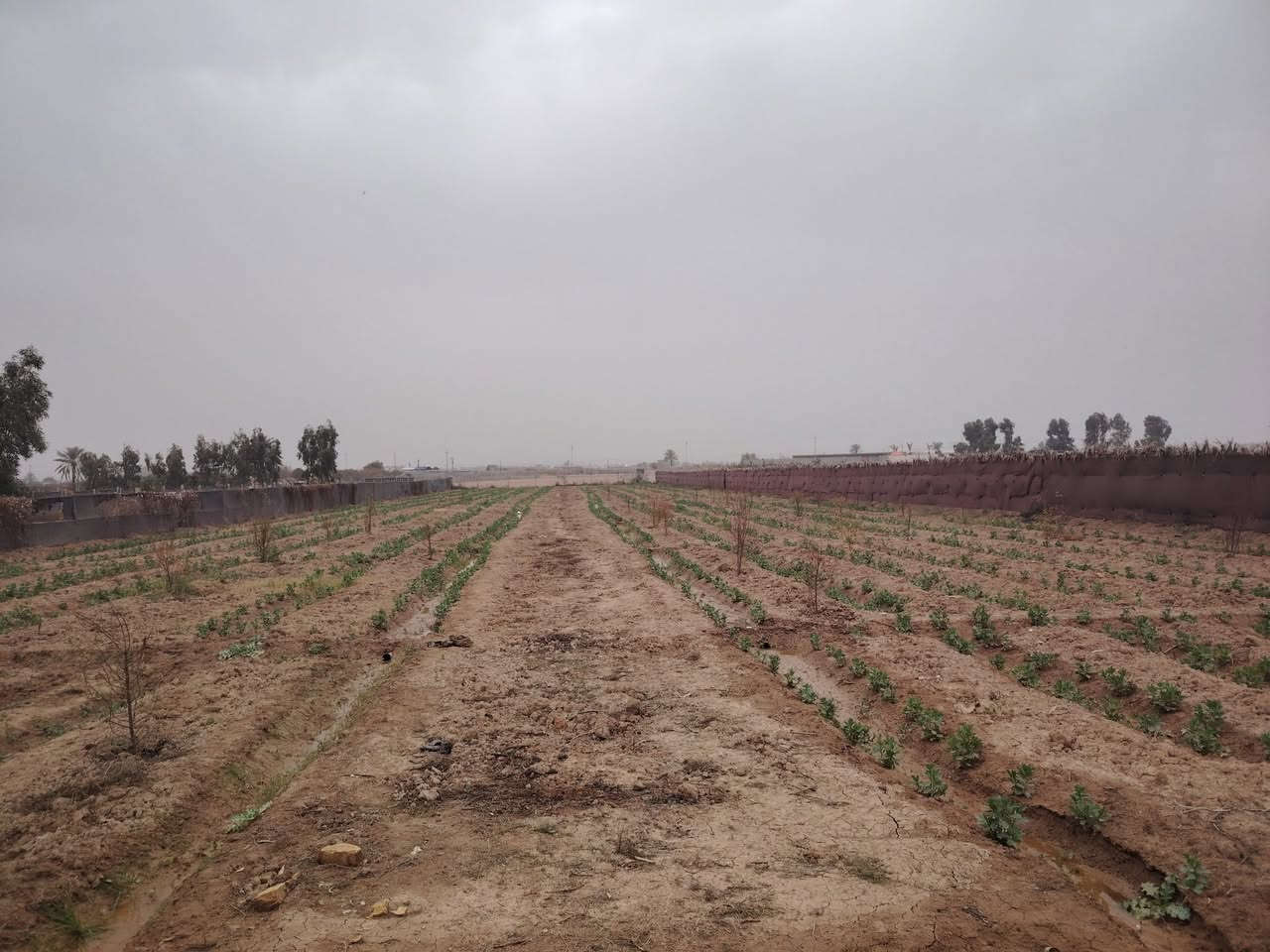 سلام عليكم
أرض زراعيه للبيع
الموقع صلاح الدين قضاء بلد بين مدخل 2 ومدخل 3
تفاصيل الأرض
جنس طابو زراعي سند ٢٥
المساحه ٤٠٠٠ متر
الواجهه ٣٣ متر
النزال ١٢٠ متر
مزروعه حمضيات
خدمات كهرباء ماء بئر
للاستفسار الاتصال على الأرقام التاليه
***********
***********
او مراجعة مكتب التمار للعقار الواقع شارع المحطه محلات الحاج عدنان
