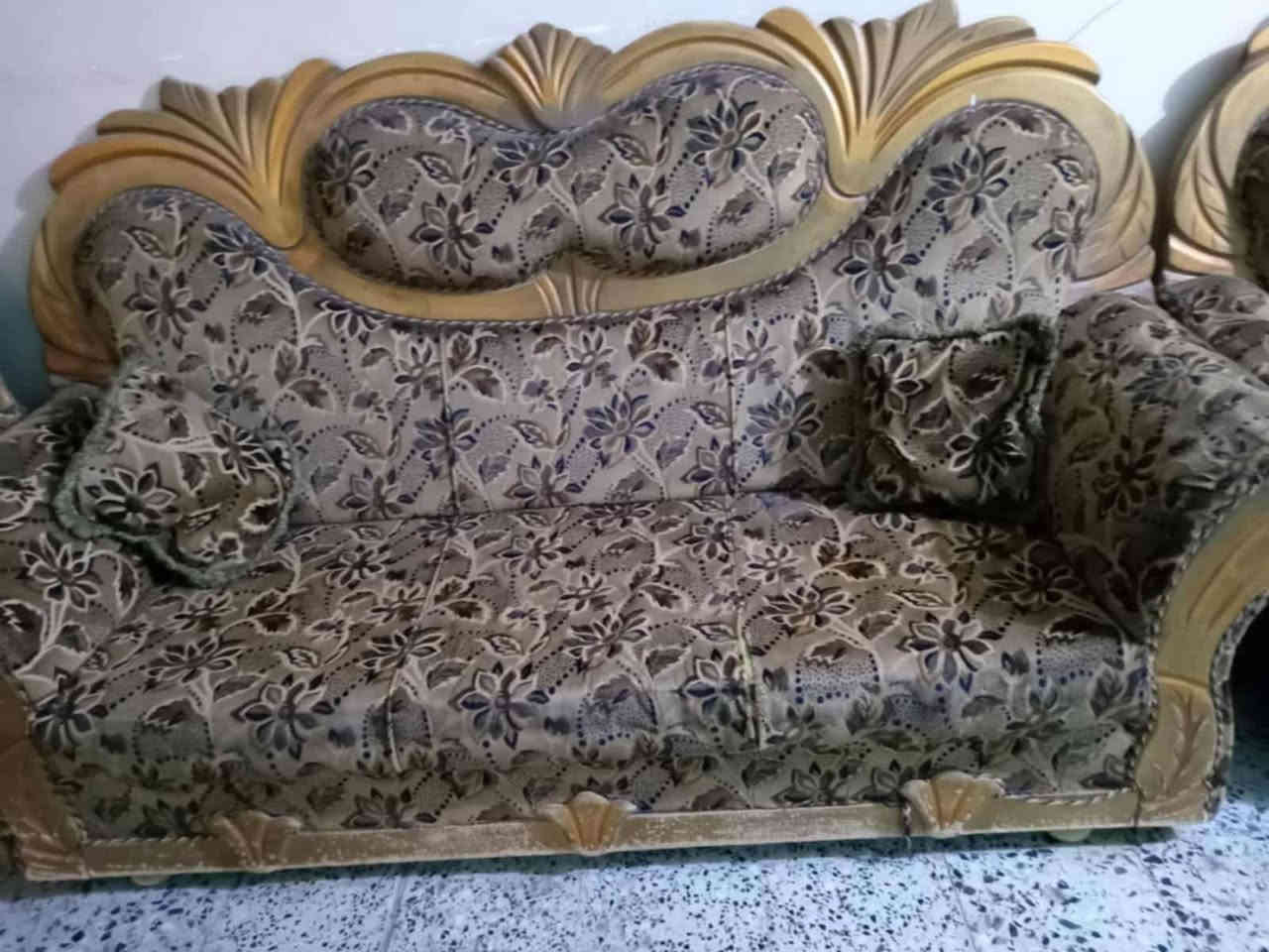 تخم ١٠ مقعد ٢٥٠  كربلاء العطيشي حي الشرطه ***********
