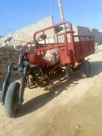 ستوته • للبيع • خاص