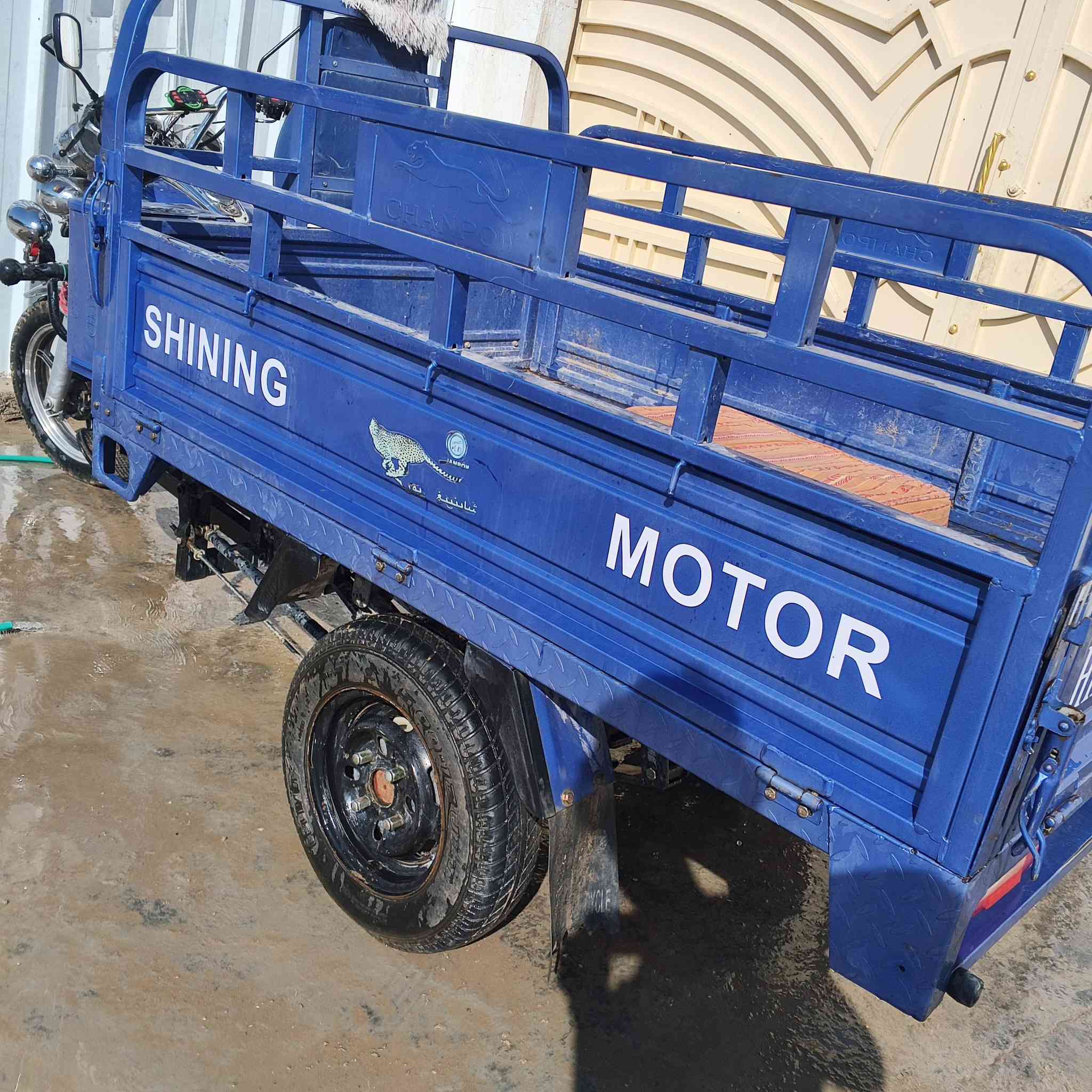 ستوتة لبيع
موديل 2023 فحل 
ستفسار *********** او خاص 
اوراق كاملة 
سعر 1900 بيها مجال
