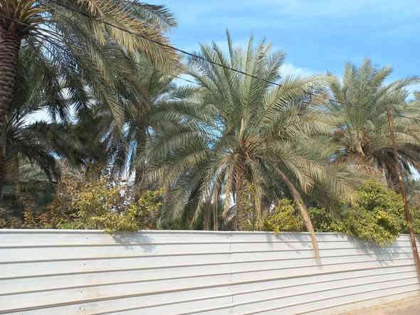 بسمه تعالى ونستعين / ((١٠٠٠م للبيع )) الواجه على فرعي مبلط ٣٠م طابو ملك صرف بستنه إقرار محكمه. تتوفر جميع الخدمات.              عباره عن شاليه استراحه. حدائق وغرفة استراحه مكان للشوي ومسبح وكما موضح بالصور التي هي طبقا. لواقع الحال تبعد من مركز. كربلاء والامامين عليهم السلام حدود.    ه كم العنوان طريق السيده زينب عليها. السلام وقرب حدائق. العتبه السعر ٤٥٠ مليون مجال جدا قليل ومداوله مع مالكها  للاستفسارات. واصلونا. هاتفيا واتساب خاص دمتم سالمين ( *********** )
