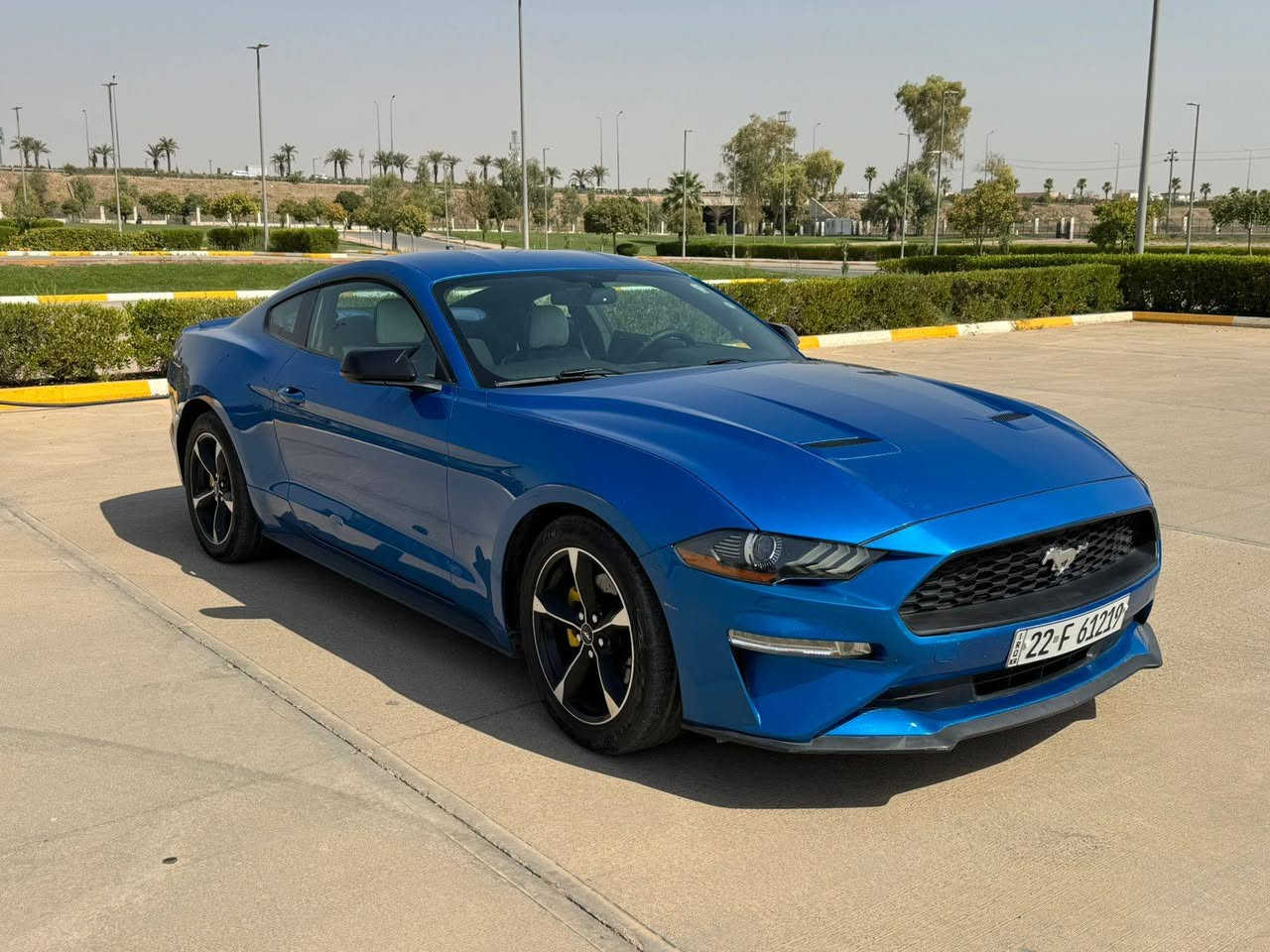 السلام عليكم
موستانك ايكوو بوست 2019
لوون ازرق مميز ( جويتي )
داخل جلد ازرق وابيض
كير سكان 
حساس خلفي 
كشنات كهربائي 
شاشة جبيرة بلادي 
ماشيه : 95mi
تشغيل عن بعد 
الضرر: بيها جاملغ سايق + جاملغ خلفي بدون دواخل بدون ايرباك
كير او مكينه او اكسل كلة بشرط 
السيارة هزة وسنوية جديدة 
رقم جديد 
وبأسمي 
مكانها اربيل
رقم موبايل : ***********
*********** أربيل, العراق
