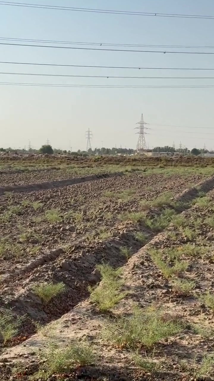 #الديوانية طريق الرائرين 
جبنالكم 7دوانم طابو صرف سعرها يخبل 
وكلش مناسب 
 للاتصال ‭***********‬
