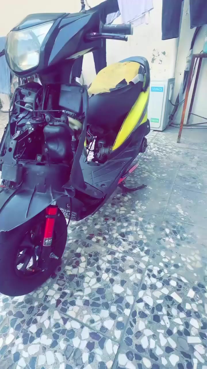 سلام عليكم ثعلب المراوس او بيع عادي بدون نطايح استفسار اكثر خاص ♥️ ***********
