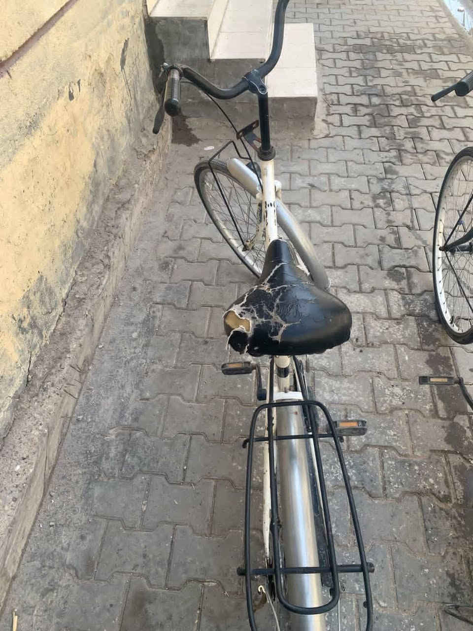 سلام عليكم بايسكل سياحي اللبيع سعره 55
ققل شركه بيدي 2 بايسكل عنوان بصره تميميه


**إذا كنت صاحب هذا الإعلان وتريد حذفه لأي سبب، رجاءا أرسل رسالة إلى الدعم الفني**