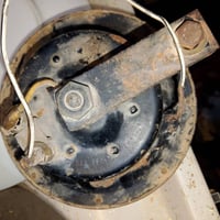 هورن بوش • أصلي ألماني • بصرة