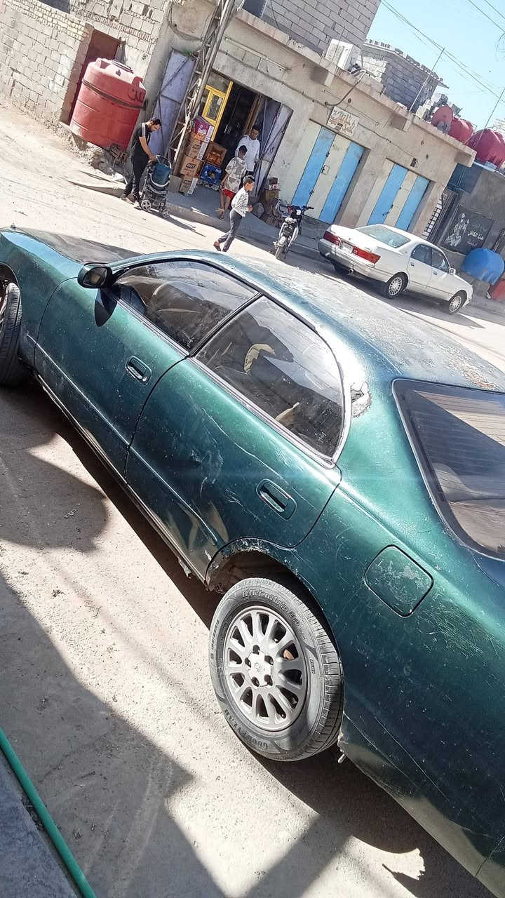 السلام عليكم شيزر للبيع الاتصال عل الرقم ***********
