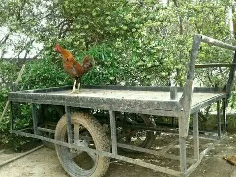 غراض للبيع، عنوان شوراو

للأستفسار راسل الصفحة .


**إذا كنت صاحب هذا الإعلان وتريد حذفه لأي سبب، رجاءا أرسل رسالة إلى الدعم الفني**