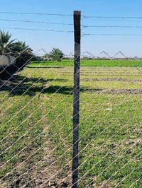 🎯 عروض مميزة من شركة المجد! نقدّم لكم أفضل خدمات نصب أسيجة الـ BRC بأس...