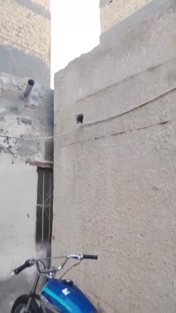 سلام عليكم دراجه للبيع تايكر نضيفه اوراق لسعر 350قفل محتاج وريد ابيعه


**إذا كنت صاحب هذا الإعلان وتريد حذفه لأي سبب، رجاءا أرسل رسالة إلى الدعم الفني**