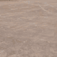 القوسيات • ١١٥م • قرب كليه الحياة