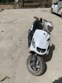 اكزز • خبط • شغاله