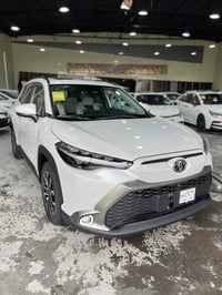 فروت لاندر • ٢٠٢٥ • هايبرد ٢.٠