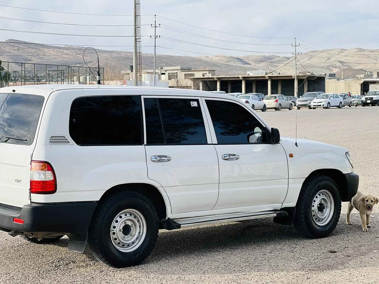 سلاو لةكةشت هاوريان
مؤنيكا فول عادي 
موديل ٢٠٠١ رةقةم هةولير
٢بارجةو بنة دةركةكي بؤياخة سةيارةكة ماشاءالله ي دةوي جركةي تيا نية لؤك ماوةتةوة 
بةشةرتي تةحويلو خرامةو بةناو كردن كيرو مةكينةو دةبل ئةكسلي بةشةرت 
سعري ١٣٥ و معامةلة 
زمارةي خاوةني :***********
