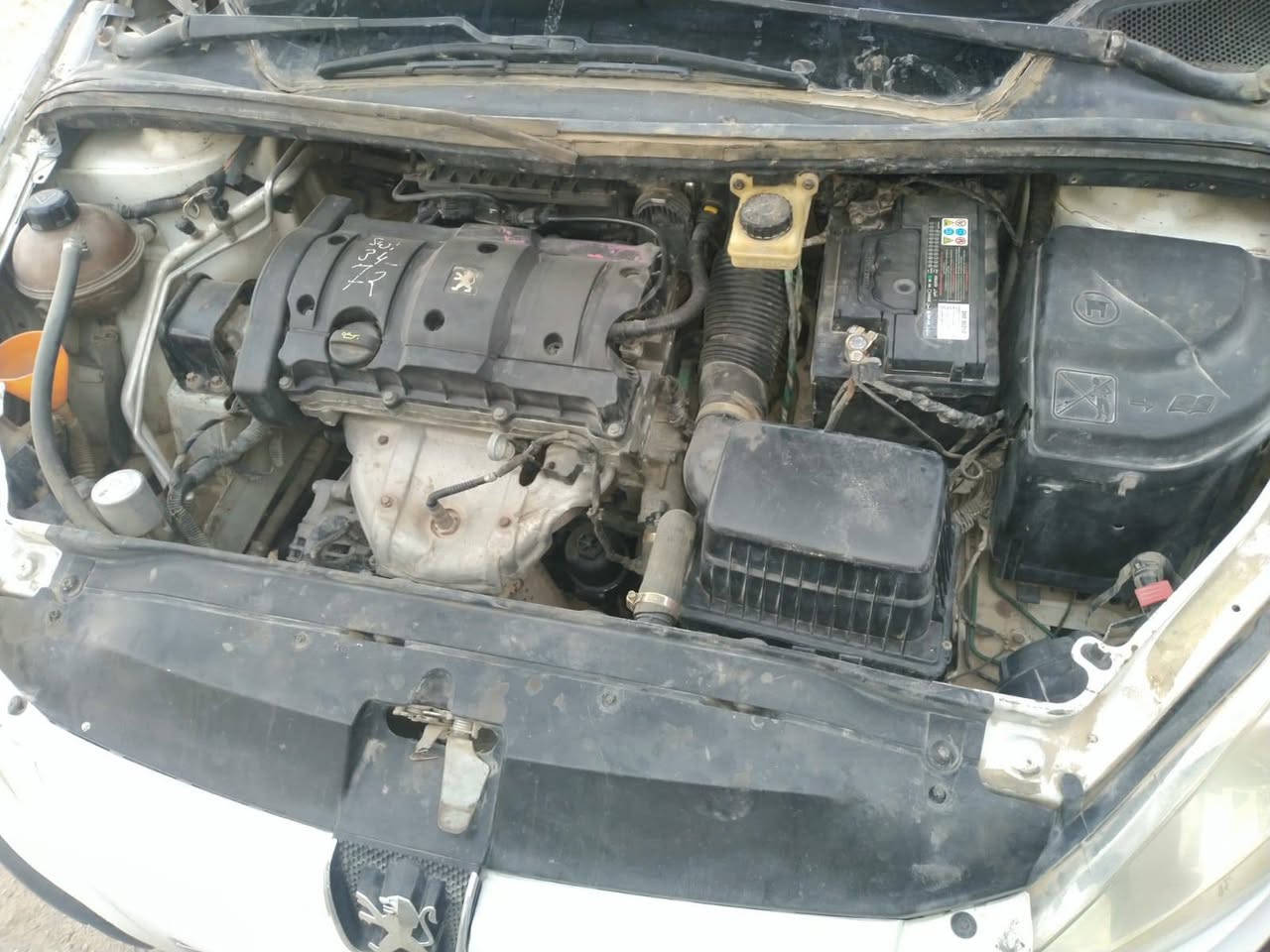 بيجو 🇫🇷فرنسي رقم نجف نكليزي  موديل ٢٠٠٥نوع ٣٠٧ مكينه وكير جدد وحداديه  صبغ عام لجماليه  مكفوله من الضربه القويه مراوس بسمند او بيجو ايراني  مكان السماوه ***********
