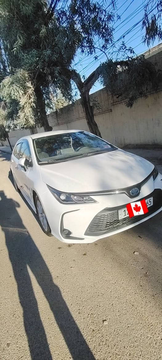 كورلا هاييرد 2024 وارد الضفة وليس صيني بدون ايرباكات ولا دواخل مجرد تعديل بارد وبدلت جنطة اصلية ودعامية هم 
السيارة  خير من الله سرعتها والكبس مالتها بس الي جانين هذا الوارد يعرفوها
السيارة جاهزة من كلشي 
اكو جامات مضللة من الشركة
كلشي موضح بالصور
بيها sport /normal eco مودات
يطارية ليثيوم ايون من الشركة 
راداررات وحساسات 
مثبت سرعة تحكممات ستيرن
السيارة يحتاجلها بولش واحتمال بعد يومين ابولشها
مكانها موصل
سبب البيع دا اجيبID4
***********شراي اتصل  السعر155وبيها مجال.
