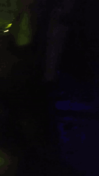 توك توك اوراق بياجو تحوير محرك ستوته للبيع 1,200 عنوان بابل ابو غرق ***********
