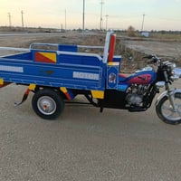 ستوته 17 • كفالة عامة • بابل الورديه