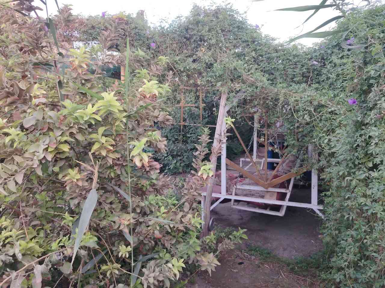 السلام عليكم 

دار للبيع اصولي فيه سند 
 طابقين المساحة ٥٥٠ بناء ١٨٠ الواجه ٥ ونص مسافه ٢٠ متر وبعدها اصير الواجه ١٥ متر 
يحتوي علئ ٤ غرف نوم + حمام عدد 3 + موزع عدد ٢ + استقبال +مطبخ
 بيت جاهز من كلشي العنوان سبع قصور شارع قاسم الوكيل شارع المختار قريب للأخير تبليط ماء مجاري
السعر ١٠٠ قابل للتفاوض للمعلومات اخوان غير متواجد على الفيس 
 *********** Honolulu, HI
