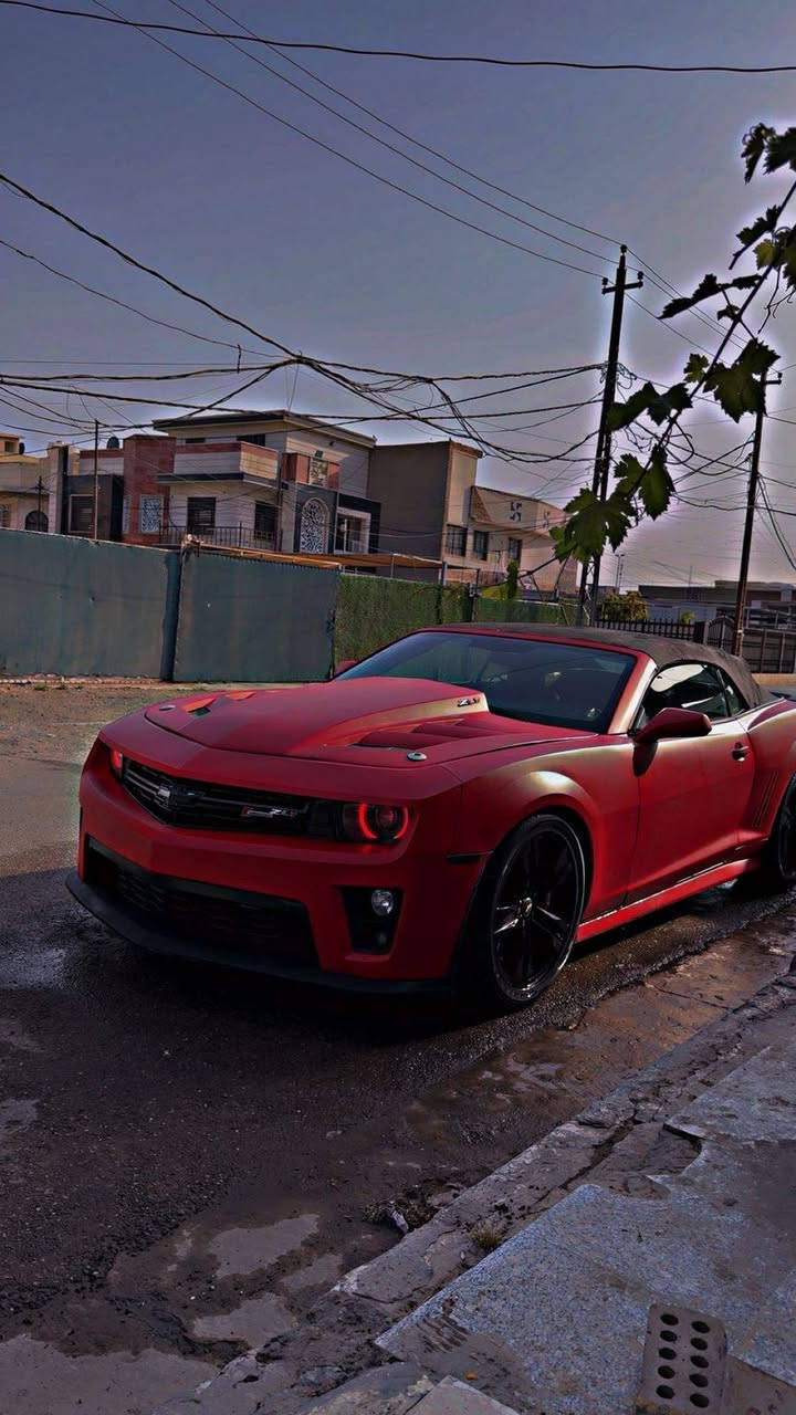 🔥 للبيع أو مراوس – كمارو ZL1 سوبر جارج 🔥
🚗 موديل: 2013
💪 محرك: 6200 سوبر جارج (أصلي بلد)
⚙️ سيارة فول مواصفات + فول تزويد
🔧 المواصفات والإضافات:
هدرز + X Pipe
دبل راديتر + راديتر أفتر ماركت
6 سراوات
شوتة
اكتف اكزوز 🔊
مازدات
عين الشيطان 😈
حشوة كاملة ZL1 (كلشي بيها ZL1)
📍 الموقع: بغداد – حي الجهاد
💰 السعر: مناسب
📞 للتواصل: ***********
🔥 سيارة نظيفة وقوية، جاهزة للفحص وأي تجربة 🔥
