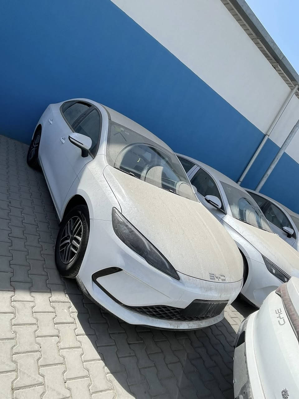 #معرض #حجي #خالد  #لتجارة #السيارات
وصول وجبة جديده من BYD 2025 جميع الالوان متوفرة اسود 🖤وابيض🤍 ورصاصي 🩶
 
السعر: انسب الاسعار اتصل على الارقام التاليه
***********
***********

‏qin plus      - - -   destroer - -seal05 - -song L
   
    1: سيل 05 seal✴️ لون ابيض 🤍واسود🖤

2: كن بلاس qin plus. لون ابيض

‏3: ✴️ Destroer  05. دستروير  ابيض
4: دستروير اسود 
5: دستروير رصاصي 
                                                     6: song L سونك ال 
 7: سونك بلاس لون اسمنتي 
كن L ابيض 
للطلب والاستفسار والحجز الاتصال على الارقام التالية
***********
***********
ادارة المبيعات

☎️📞📲☎️📞📲

بغداد  البياع مدخل المعارض الرئيسي 

شكراً لتواصلكم معنا
 #سيارات  #BYD
#سيل5 #سيل05
#كن_بلاس 
#دستروير
#سونك
#كن L 
***********
***********
