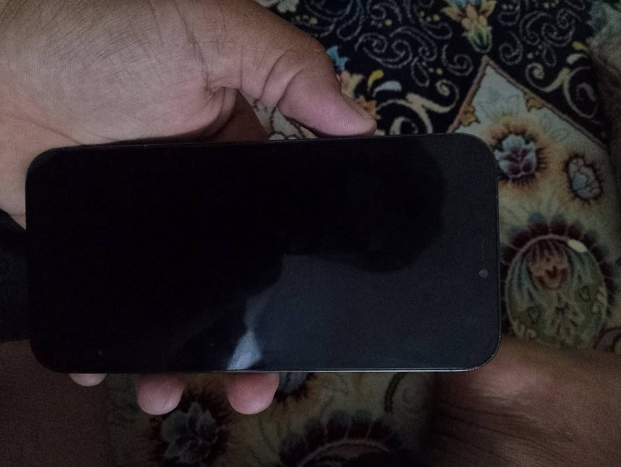 السلام عليكم 12pro max جهاز مبدل شاشه اصليه 3 خيارات ذاكره 256 بطاريه 80 بلاديه صرف  فيس ايدي متوقف نقصه بس شريط وضهر متفلش والشاشة بيه خط اثر طيحه بس مامثر عله الشاشه مراوس ايباد تسعه أو اير 3 وسعره 250 أبيع كوم حديد مكاني بابل قضاء القاسم *********** تفاصيل خاص اكثر
