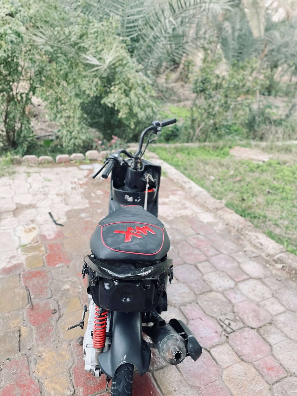 ماكس عدله للبيع بوشه 55 بيهه دبلات رياضي ويل امامي رياضي وقطرت دهن . سلف رياضي 55 . سلف هندر شغاله كهربائيات شغاله ضفيره جديده سعر خاص


**إذا كنت صاحب هذا الإعلان وتريد حذفه لأي سبب، رجاءا أرسل رسالة إلى الدعم الفني**