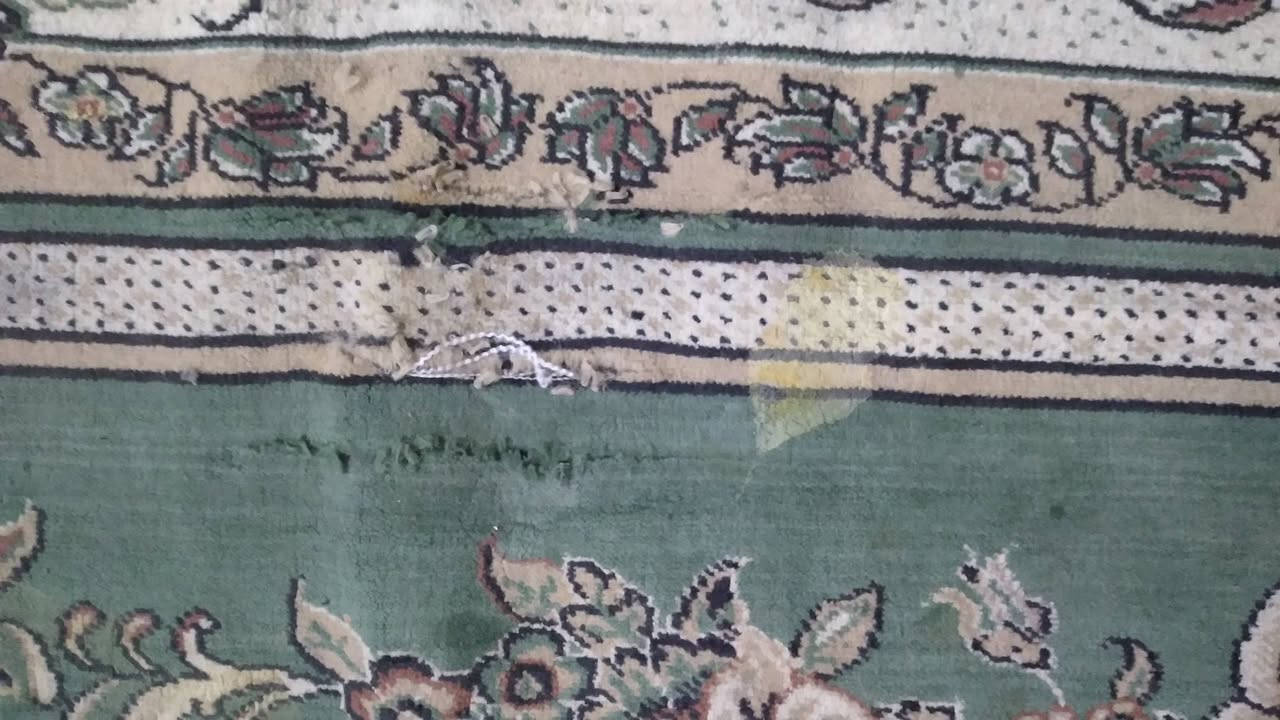 غراض مستعملة للبيع تواصل واتساب مراسلة فقط
الي يريد شي ينزل صورتة بالتعليقات و اجاوبة عالسعر
***********
ملاحظة الفراشات كلهن يحتاجن غسل ماعندي مكان اغسلهن
