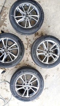 تخم ويل كب فورتي سيراتو اصلي شركة حجم ١٦ بيع أو مراوس اكو ابيع تك العن...