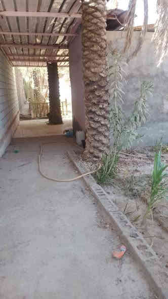 خلف جامعة العميد
طابو زراعي سند 25
أرض مساحة 550متر واجهه 15متر ونص
نزال 39 
تحتوي على اشجار ونخيل
السعر 300مليون 
***********
