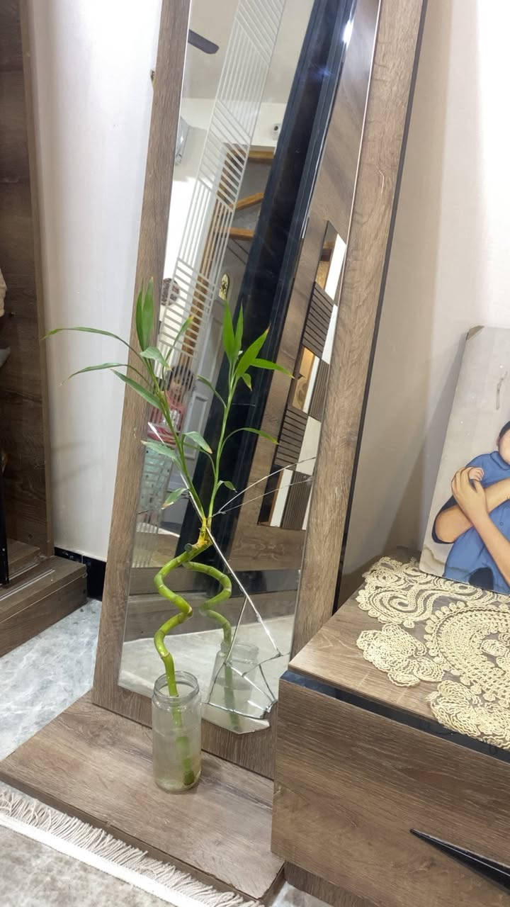 غرفه نوم للبيع مكاني الزعفرانيه


**إذا كنت صاحب هذا الإعلان وتريد حذفه لأي سبب، رجاءا أرسل رسالة إلى الدعم الفني**