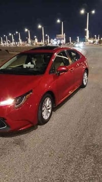 اخوان الشراي يتصل والي يحب يستطلع يباوع بدون ازعاج موجودرقم الهاتف خاص...