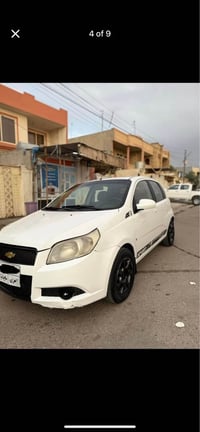 افيو • ٢٠٠٩ • اربيل