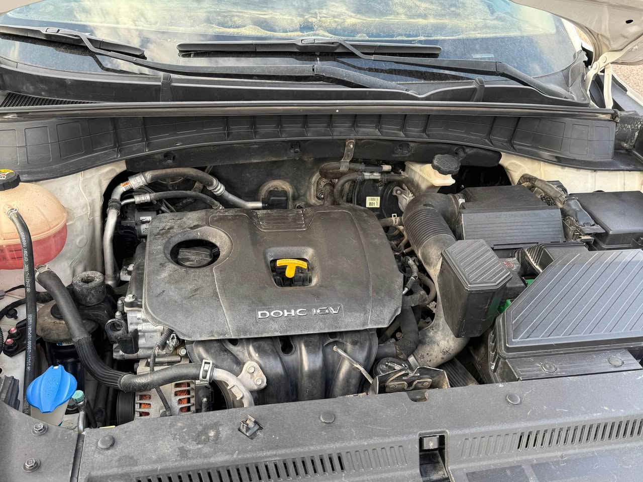 توسان 2017 خليجي 
رقم بصره تحويل مباشر 
سياره فقط بنيد صبغ 
باقي سياره كفاله 
كير محرك كفاله شرط ما مفتوح 
حداده خير من الله  
ماشيه 130 
حساس امامي خلفي 
سويج  
سعرها 165 بي مجال شي قليل 
*********** البصرة, العراق
