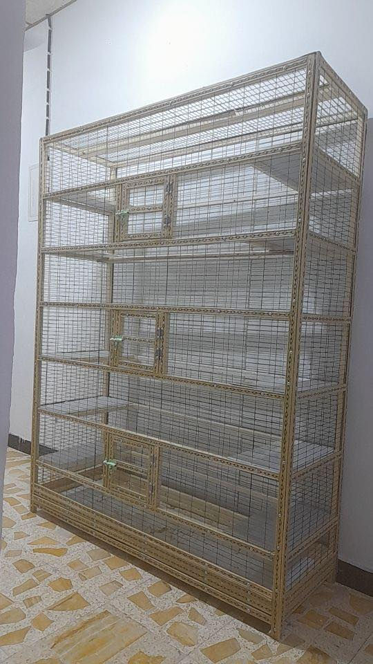 السلام عليكم اقفاصه ثنين مال طيور حب او كوكتيل هنه وحلاتهن شغل درجه أوله تفصال مشبج نوعيه متوسطه ارتفاع الجبير 190 وعرض 150 والثاني متر وشوي وعرض متر وشوي مكاني البصره حيانيه او دور الشرطه 4 شوارع السعر 100 ثنينهم وبيهن مجال استفسار *********** واتساب فقط
